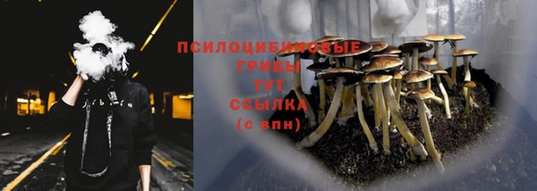 прущие грибы Нея