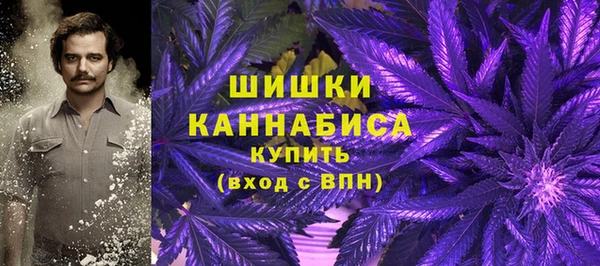 прущие грибы Нея