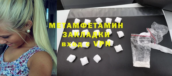 прущие грибы Нея