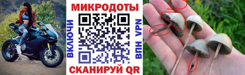 Псилоцибиновые грибы мухоморы  наркошоп  ОМГ ОМГ ONION  Неман 